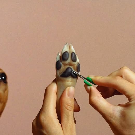 A dog's paw held gently for nail clipping